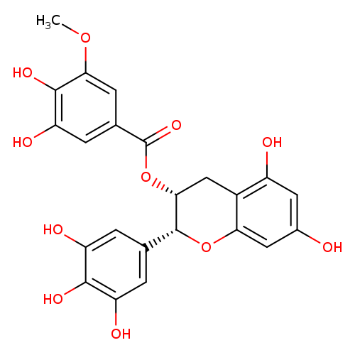 (-)-EGCG-3''-O-Me