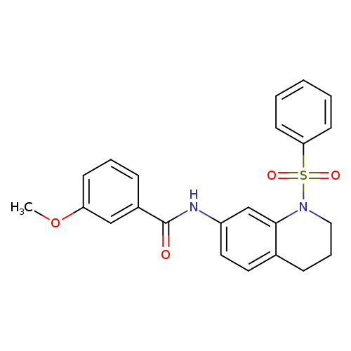 N-[1-(benzenesulfonyl)-1,2,3,4-tetrahydroquinolin-7-yl]-3-methoxybenzamide