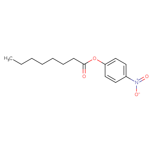 4-Nitrophenyl octanoate