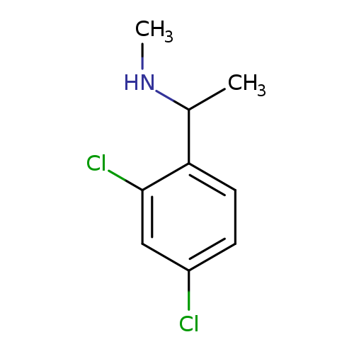 [1-(2,4-dichlorophenyl)ethyl](methyl)amine