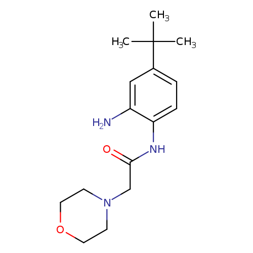 N-(2-Amino-4-tert-butylphenyl)-2-morpholin-4-ylacetamide