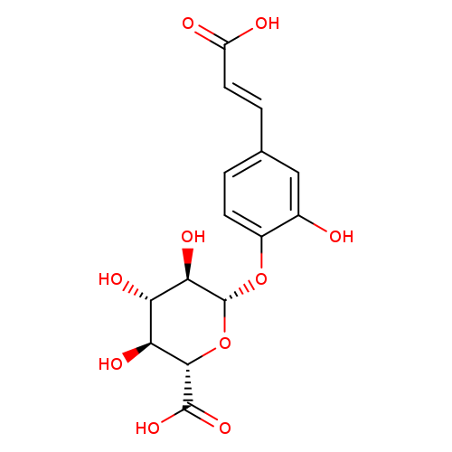 Caffeic Acid 4-β-D-Glucuronide