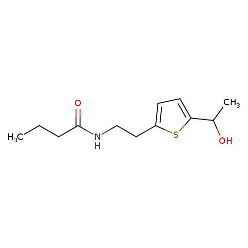 N-{2-[5-(1-hydroxyethyl)thiophen-2-yl]ethyl}butanamide