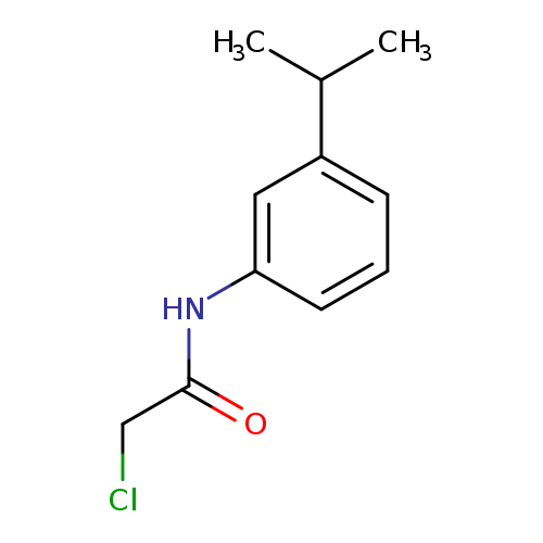 2-chloro-N-[3-(propan-2-yl)phenyl]acetamide