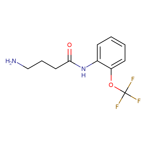 4-Amino-N-[2-(trifluoromethoxy)phenyl]butanamide