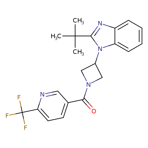 2-tert-butyl-1-{1-[6-(trifluoromethyl)pyridine-3-carbonyl]azetidin-3-yl}-1H-1,3-benzodiazole