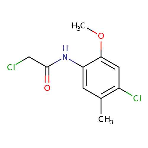 2-Chloro-N-(4-chloro-2-methoxy-5-methylphenyl)acetamide