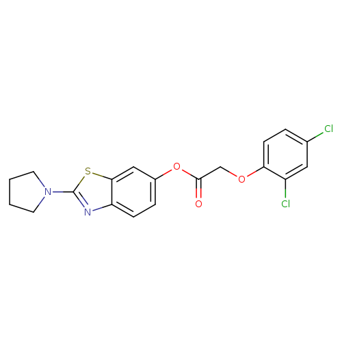2-(pyrrolidin-1-yl)-1,3-benzothiazol-6-yl 2-(2,4-dichlorophenoxy)acetate