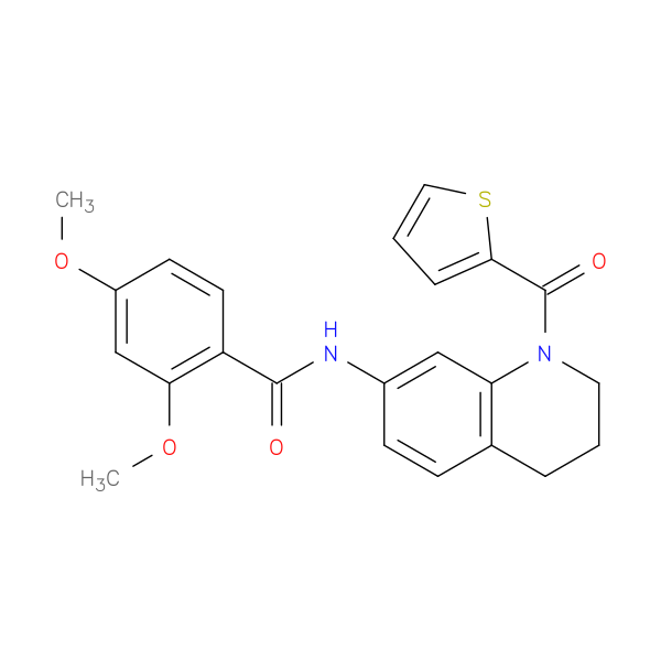 2,4-dimethoxy-N-[1-(thiophene-2-carbonyl)-1,2,3,4-tetrahydroquinolin-7-yl]benzamide