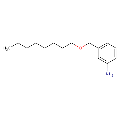3-[(octyloxy)methyl]aniline