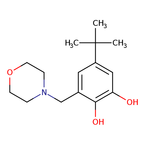 5-(TERT-BUTYL)-3-(MORPHOLINOMETHYL)BENZENE-1,2-DIOL