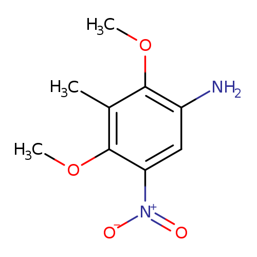 2,4-Dimethoxy-3-methyl-5-nitroaniline