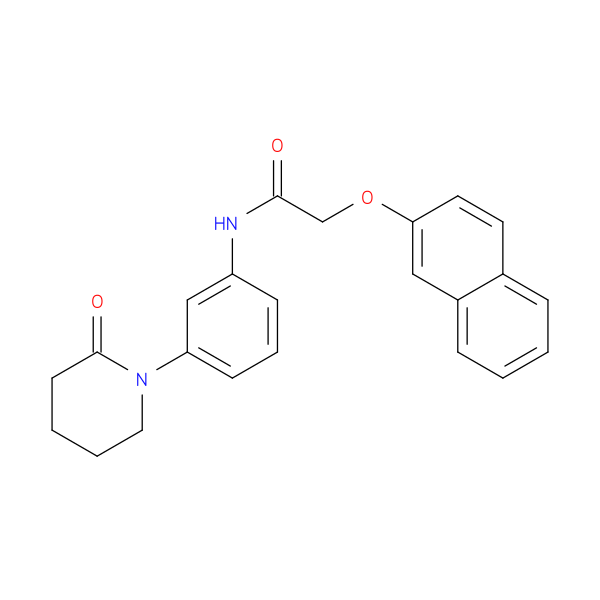 2-(naphthalen-2-yloxy)-N-[3-(2-oxopiperidin-1-yl)phenyl]acetamide