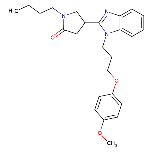 1-butyl-4-{1-[3-(4-methoxyphenoxy)propyl]-1H-1,3-benzodiazol-2-yl}pyrrolidin-2-one