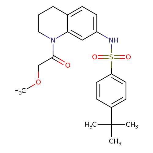 4-tert-butyl-N-[1-(2-methoxyacetyl)-1,2,3,4-tetrahydroquinolin-7-yl]benzene-1-sulfonamide
