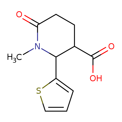 1-methyl-6-oxo-2-(thiophen-2-yl)piperidine-3-carboxylic acid