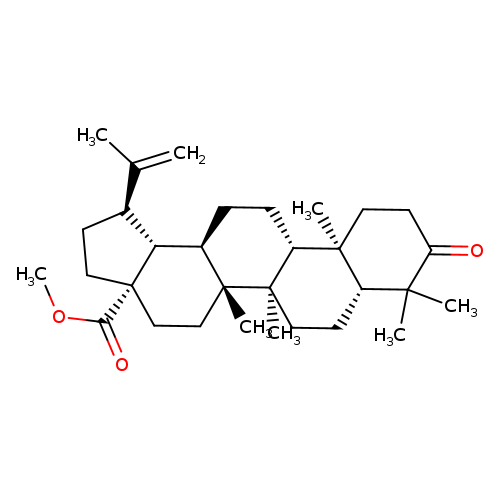 Betulonicacidmethylester