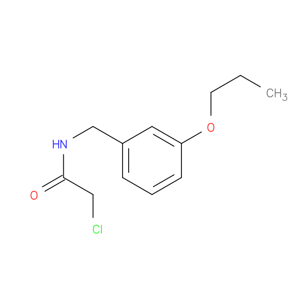 2-chloro-N-[(3-propoxyphenyl)methyl]acetamide
