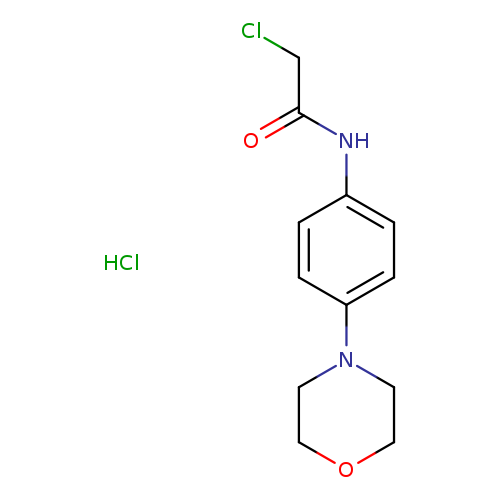 2-chloro-N-[4-(morpholin-4-yl)phenyl]acetamide hydrochloride