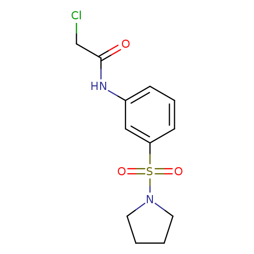 2-chloro-N-[3-(pyrrolidine-1-sulfonyl)phenyl]acetamide