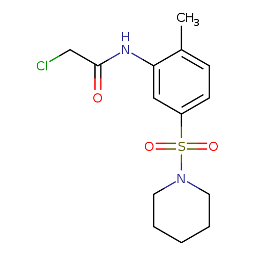 2-chloro-N-[2-methyl-5-(piperidine-1-sulfonyl)phenyl]acetamide