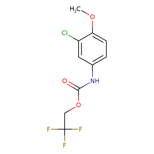 2,2,2-trifluoroethyl N-(3-chloro-4-methoxyphenyl)carbamate