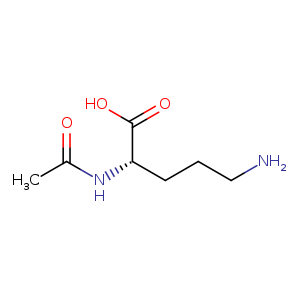 N-ALPHA-ACETYL-L-ORNITHINE