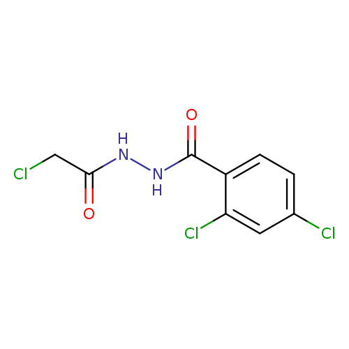 2,4-dichloro-N'-(2-chloroacetyl)benzohydrazide