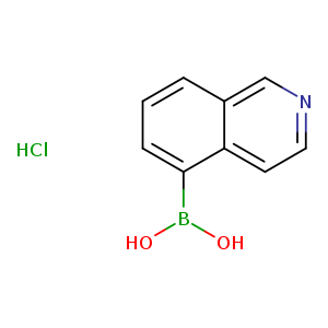 Boronic acid, B-5-isoquinolinyl-, hydrochloride (1:1)