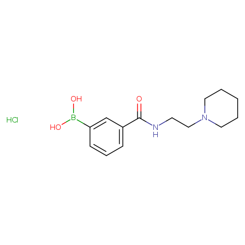 3-(2-(Piperidin-1-yl)ethylcarbamoyl)phenylboronic acid, HCl