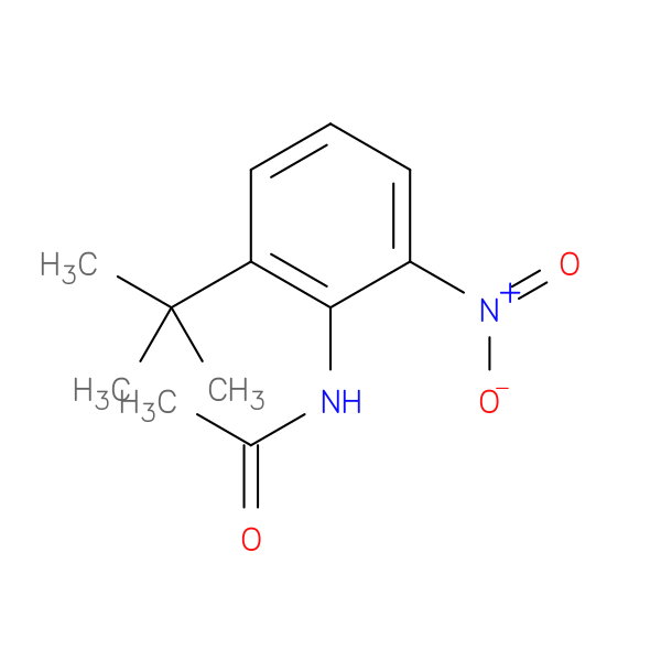 N-{2-tert-butyl-6-nitrophenyl}acetamide