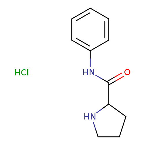 N-Phenylpyrrolidine-2-carboxamide hydrochloride