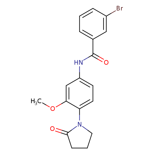 3-bromo-N-[3-methoxy-4-(2-oxopyrrolidin-1-yl)phenyl]benzamide
