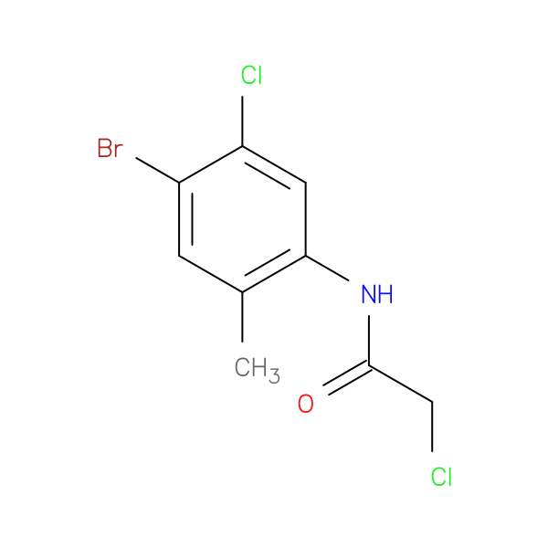 N-(4-bromo-5-chloro-2-methylphenyl)-2-chloroacetamide