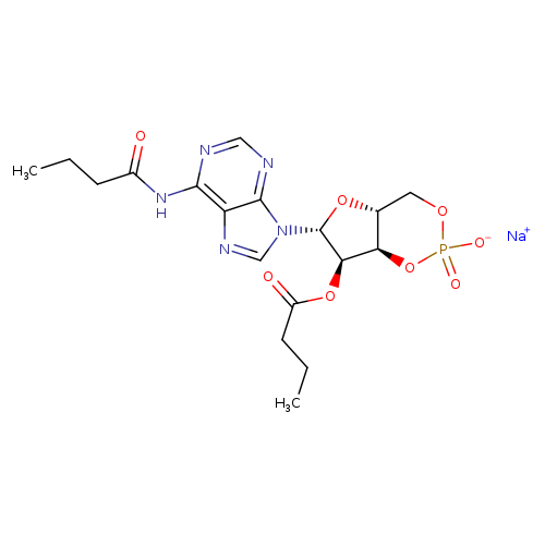 N-6,O-2'-Dibutyryladenosine cyclic 3',5'-monophosphate sodium salt