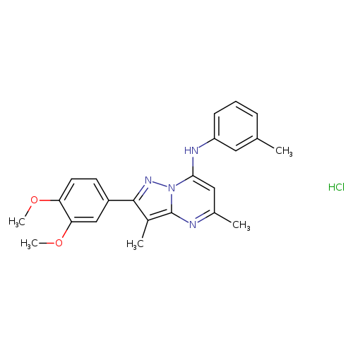 2-(3,4-dimethoxyphenyl)-3,5-dimethyl-N-(3-methylphenyl)pyrazolo[1,5-a]pyrimidin-7-amine hydrochloride