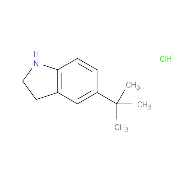 5-tert-butyl-2,3-dihydro-1H-indole hydrochloride