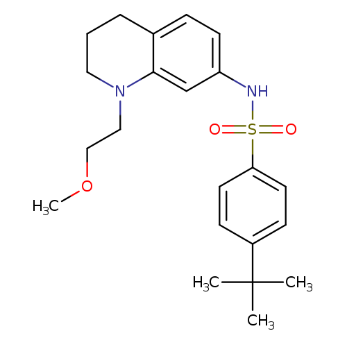 4-tert-butyl-N-[1-(2-methoxyethyl)-1,2,3,4-tetrahydroquinolin-7-yl]benzene-1-sulfonamide