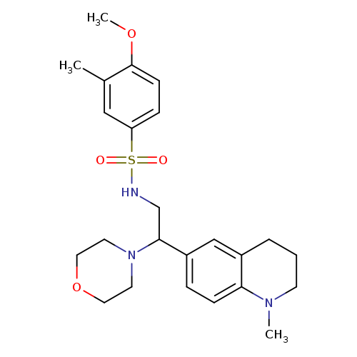 4-methoxy-3-methyl-N-[2-(1-methyl-1,2,3,4-tetrahydroquinolin-6-yl)-2-(morpholin-4-yl)ethyl]benzene-1-sulfonamide