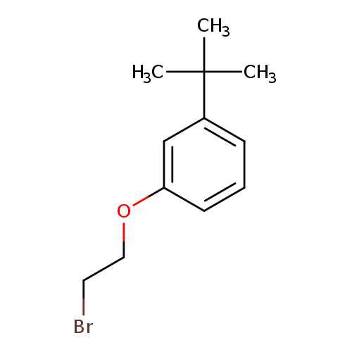1-(2-bromoethoxy)-3-tert-butylbenzene