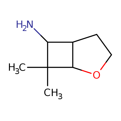 7,7-dimethyl-2-oxabicyclo[3.2.0]heptan-6-amine