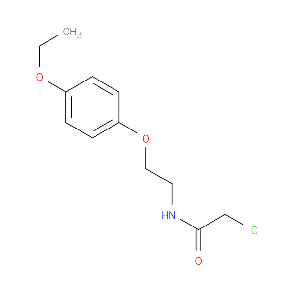2-chloro-N-[2-(4-ethoxyphenoxy)ethyl]acetamide