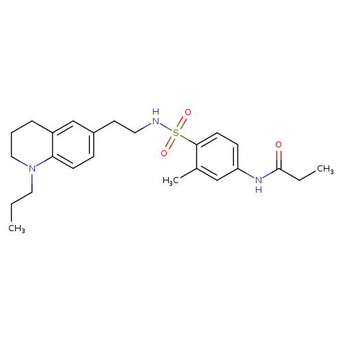 N-(3-methyl-4-{[2-(1-propyl-1,2,3,4-tetrahydroquinolin-6-yl)ethyl]sulfamoyl}phenyl)propanamide