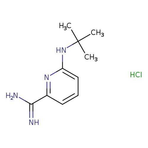 6-(tert-butylamino)pyridine-2-carboximidamide hydrochloride