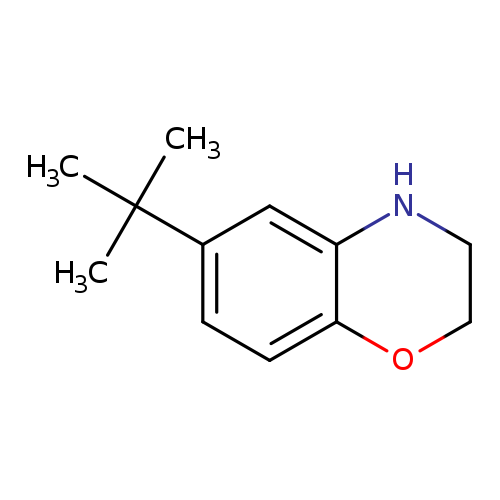 6-(tert-Butyl)-3,4-dihydro-2H-1,4-benzoxazine