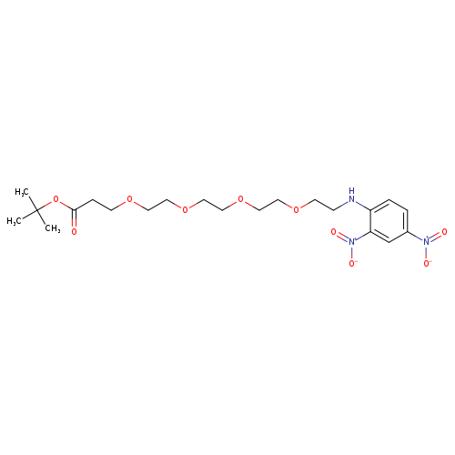 DNP-PEG4-T-Butyl Ester
