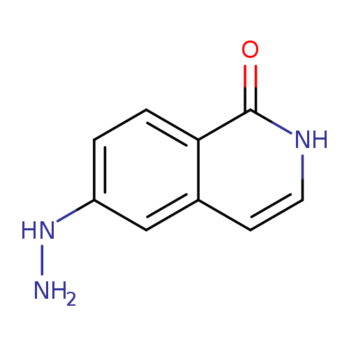 6-Hydrazinyl-1,2-dihydroisoquinolin-1-one
