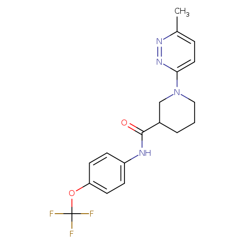 1-(6-methylpyridazin-3-yl)-N-[4-(trifluoromethoxy)phenyl]piperidine-3-carboxamide