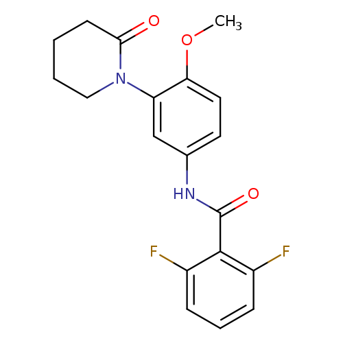 2,6-difluoro-N-[4-methoxy-3-(2-oxopiperidin-1-yl)phenyl]benzamide