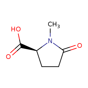 1-Methyl-5-oxo-L-Proline